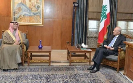 وصول السفير السعودي وليد البخاري إلى عين التينة للقاء الرئيس نبيه ⁧‫بري‬⁩