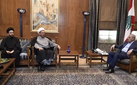 بري عرض مع أبو فاعور الأوضاع وملف النازحين