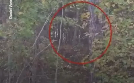 بالفيديو_هروب قردة من منشأة بحثية في ولاية ساوث كارولينا.. والسلطات تطلب من المواطنين إغلاق منازلهم وعدم الاقتراب منها