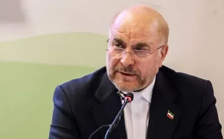 قاليباف يؤكد لبري وقوف ايران الى جانب لبنان ومؤازرته بتنفيذ الـ1701