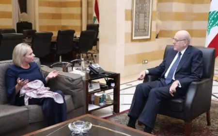 ميقاتي: الحكومة ملتزمة تطبيق القرار 1701