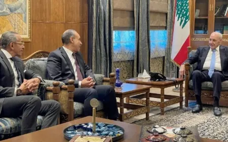 وزير الخارجية المصري يصل إلى عين التينة للقاء الرئيس نبيه ⁧‫برّي‬⁩