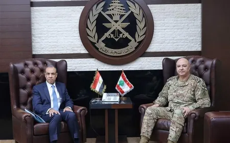 لقاء بين قائد الجيش ووزير خارجية مصر: "لدعم الجيش اللبناني"