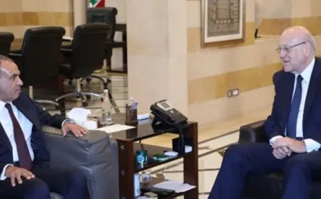 عبد العاطي بعد لقائه ميقاتي: لا يمكن القبول بأن يكون إنهاء الشغور الرئاسي شرطًا من شروط وقف إطلاق النار