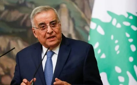 بو حبيب التقى عبد العاطي: متمسكون بوقف إطلاق النار وتطبيق القرار 1701