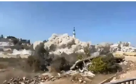 بالفيديو ـ الاحتلال يواصل سياسة نسف المساجد في جنوب لبنان