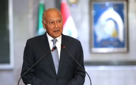 أبو الغيط يخاطب بلينكن وبوريل: يجب التدخل بقوة من أجل إنقاذ “الأونروا”