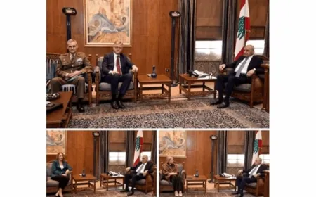 سلسلة لقاءات لبري في عين التينة