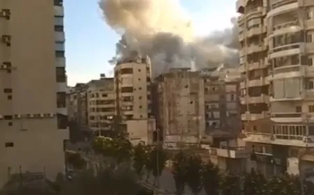 بالفيديو ـ صفير - سان تريز