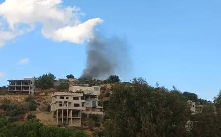 شهيدين وجريح للجيش اللبناني في استهداف في بلدة جودية المارية قضاء حاصبيا . واصابة ٥ اشخاص آخرين نتيجة الإستهداف