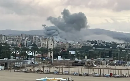 غارتان على حوش صور