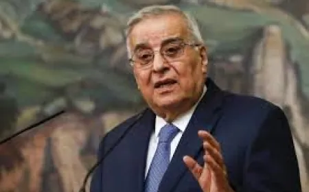 بوحبيب عرض الاوضاع مع سفيري هنغاريا وبولندا
