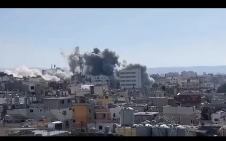 بالفيديو ـ البرج الشمالي- قضاء صور