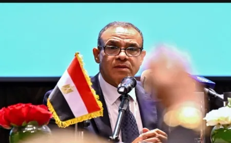 وزير الخارجية: مصر قد تكون الأكثر تضررا من التصعيد في البحر الأحمر