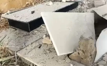 بالفيديو ـ استهـ داف المدافن في بلدة اللبوة