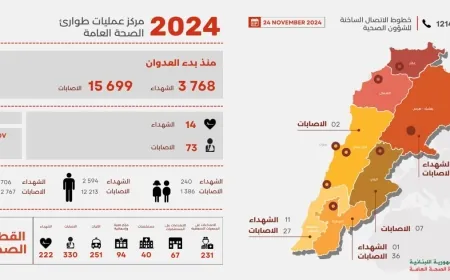 طوارىء الصحة: 3768 شهيدا و15699 جريحا منذ بدء العدوان وحصيلة الامس 14 شهيدا و73 جريحا