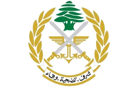 الجيش: تفجير ذخائر غير منفجرة في منطقة إبل السقي - الجنوب ما بين الساعة 13:00 والساعة 14:00
