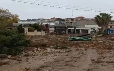 بالفيديو - إطلاق نار على صحافيين في الجنوب... وسقوط إصابات