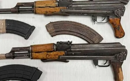 الجيش الإسرائيلي يعلن إحباط تهريب أسلحة عبر الحدود مع مصر