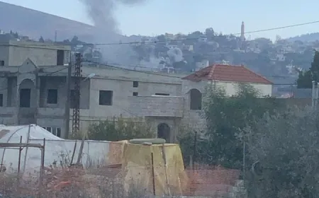 الجيش اللبناني يطلب من أهالي الطيية مغادرتها بعد استهـداف تجمعاتهم في الساحة ومحيط العين بصـواريخ من مسيّـرة على ثلاث دفعات ما أدّى إلى إصـابة ثلاثة مواطنين بجـروح