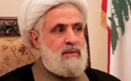 نعيم قاسم يشيد بجهود بري وميقاتي في التوصل لاتفاق وقف النار
