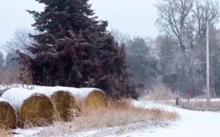 عاصفة تضرب شمال أميركا ودرجات حرارة تحت الصفر بالجنوب