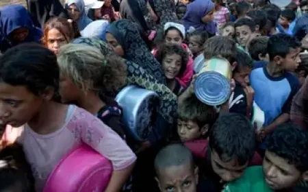 الأونروا: حاولنا إدخال شاحنات إلى غزة لكنها سرقت