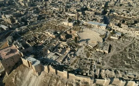 حصيلة قتلى الاشتباكات في سوريا ترتفع إلى 372... وحلب خارج ‏‏سيطرة القوات السورية لأول مرة منذ ‏اندلاع النزاع ‏