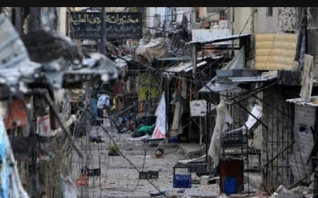 إشكال فرديّ في عين الحلوة
