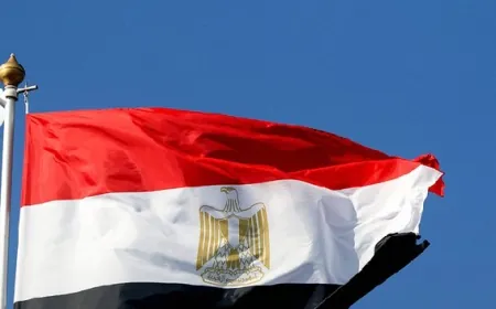 وزير الخارجية المصري: غطرسة القوة لن تحقق الاستقرار لإسرائيل في المنطقة