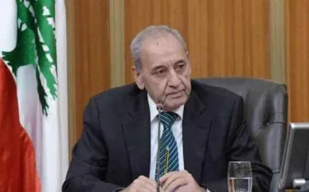 بري: ما تقوم به إسرائيل "خرق فاضح لبنود اتفاق وقف النار"