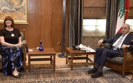 لقاءات لبري في عين التينة