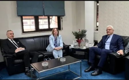 وزير الاتصالات استقبل السفيرة السويدية في زيارة تعارف