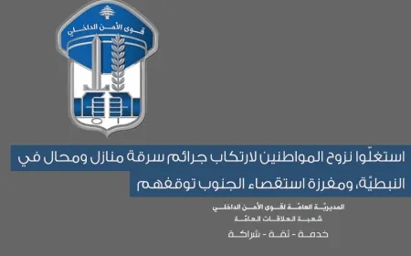 استغلّوا نزوح المواطنين لارتكاب جرائم سرقة منازل ومحال في النبطيّة،
