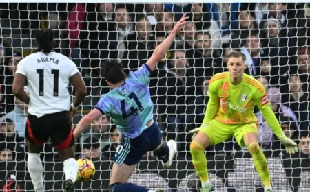 أرسنال يخسر نقطتين أمام فولهام وفاردي يصنع التاريخ