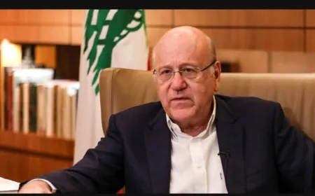 سلسلة استقبالات لميقاتي... ودعوة من السيسي للمشاركة بأعمال قمة منظمة الدول الثماني النامية للتعاون الاقتصادي