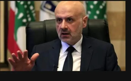 بعد محاولات دخول السوريين بطريقة غير شرعية الى لبنان عبر المصنع... مولوي يتحرك