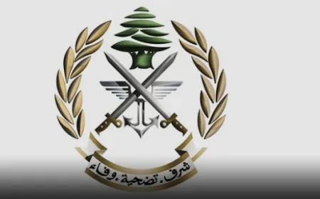 الجيش: تفجير ذخائر غير منفجرة في حقل تفجير القليلة