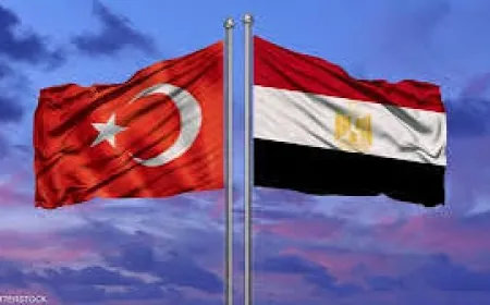 وزير الخارجية المصري في اتصال مع نظيره التركي يشدّد على أن تكون العملية السياسية في سوريا ملكية سورية خالصة بدون أي تدخلات خارجية