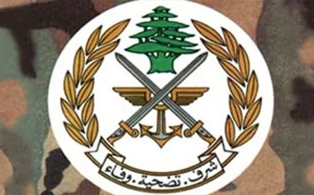 الجيش: تفجير ذخائر في مناطق عدة