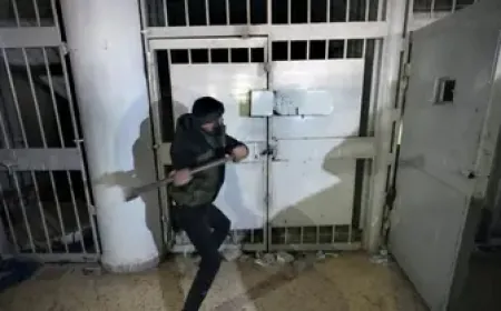 يملك معلومات عن عنبر سري.. القبض على مسؤول سابق بصيدنايا