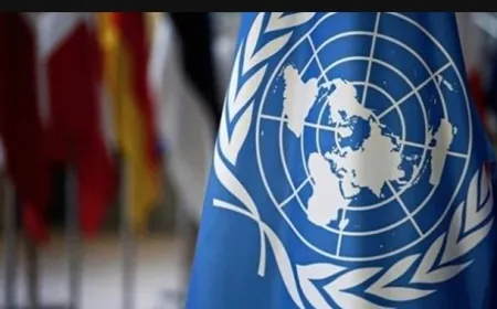 الأمم المتحدة تطلق نداء لجمع أكثر من 4 مليارات دولار لمساعدة غزة والضفة الغربية في 2025