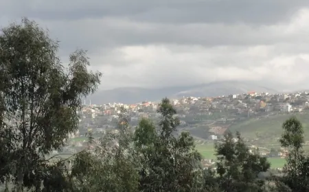 ضابط كبير في الجيش الأميركيّ زار بيروت... لمراقبة انسحاب أوّل دفعة من القوات الإسرائيلية