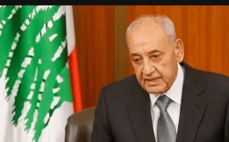 بري بحث مع رئيس مراقبة الهدنة المستجدات