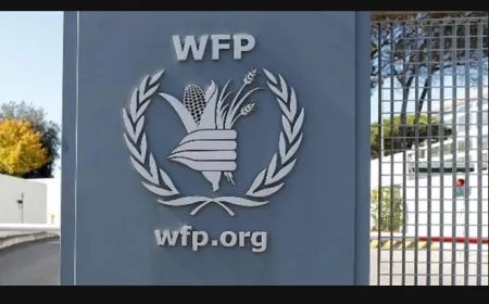 برنامج الأغذية العالمي يحتاج 250 مليون دولار خلال الأشهر الستة المقبلة في سوريا