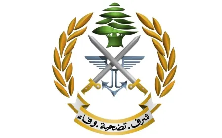 الجيش: تفجير ذخائر غير منفجرة في بلدة يُحمر