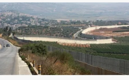 سيارة بيك اب فيها ثلاثة أشخاص اقتادت عبد العال إلى الأراضي الفلسطينية المحتلة