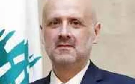 المولوي ينفي دخول أمنيين سوريين سابقين إلى لبنان