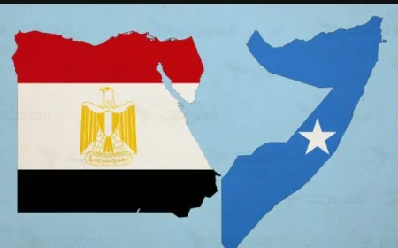 اتصال بين وزير الخارجية المِصريّ ونظيره الصوماليّ للإطلاع على نتائج القِمة الثلاثية