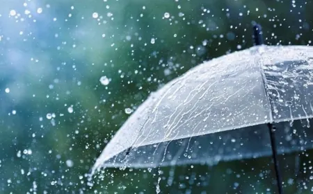 سلسلة من المنخفضات الجوية الرطبة والباردة بإنتظارنا... إليكم تفاصيل الطقس